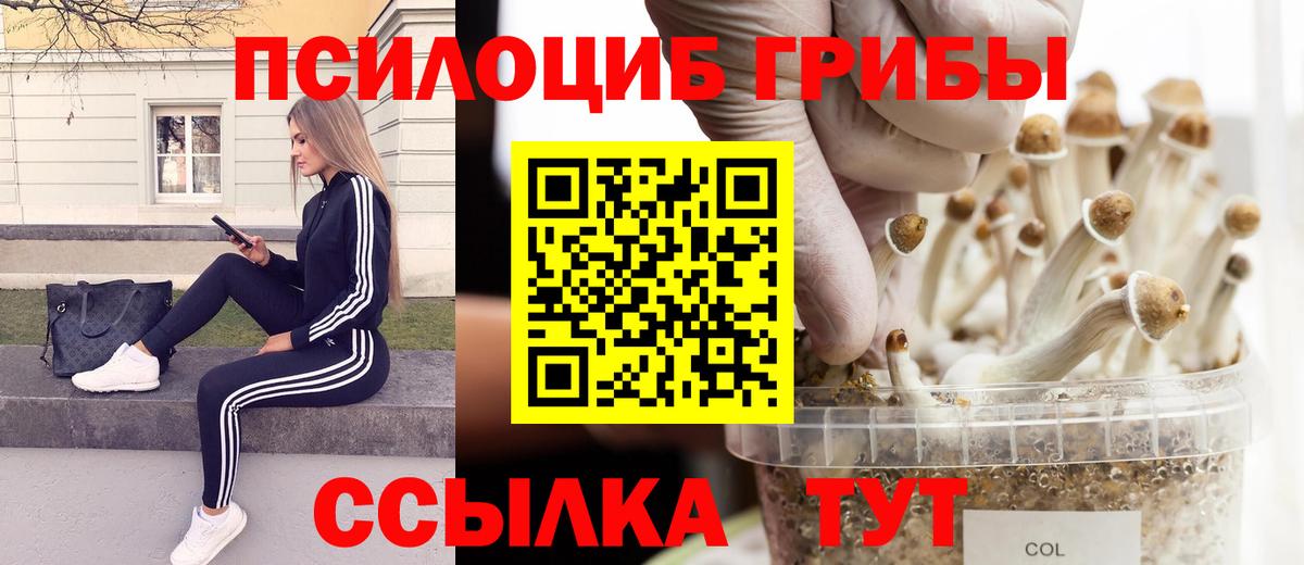 Псилоцибиновые грибы мухоморы  где продают   Вход с VPN  Тобольск  Галлюциногенные грибы Psilocybine cubensis 